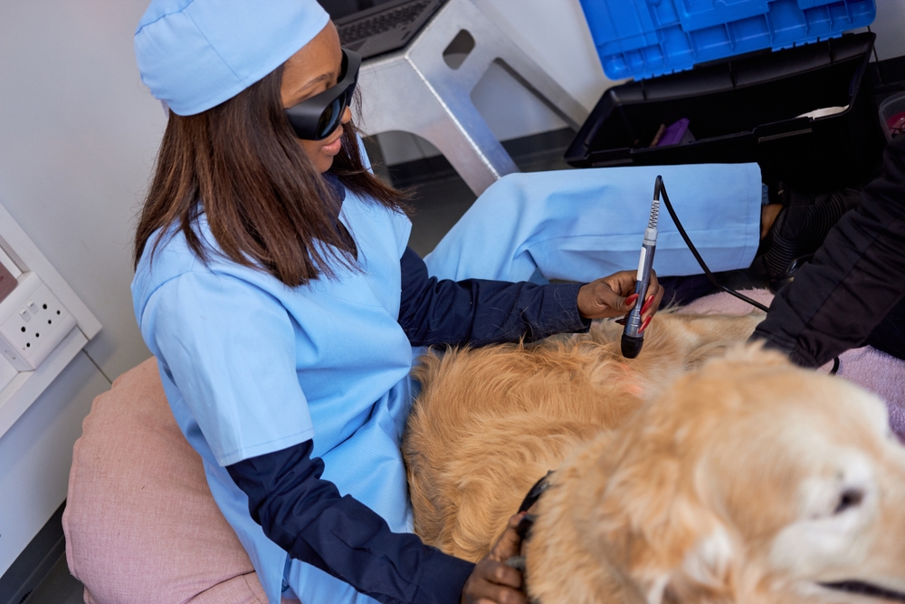Laser Therapy
