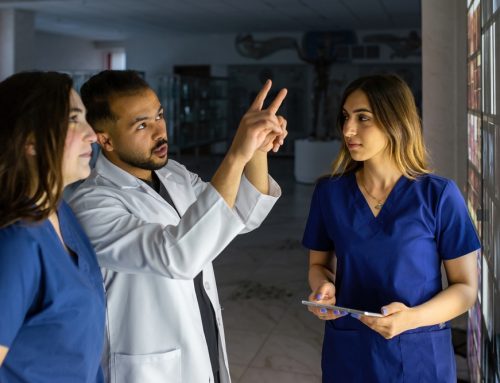 A Perfect Match: How to Find Your Ideal Veterinary Externship