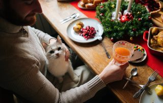 Holiday Pet Safety Tips