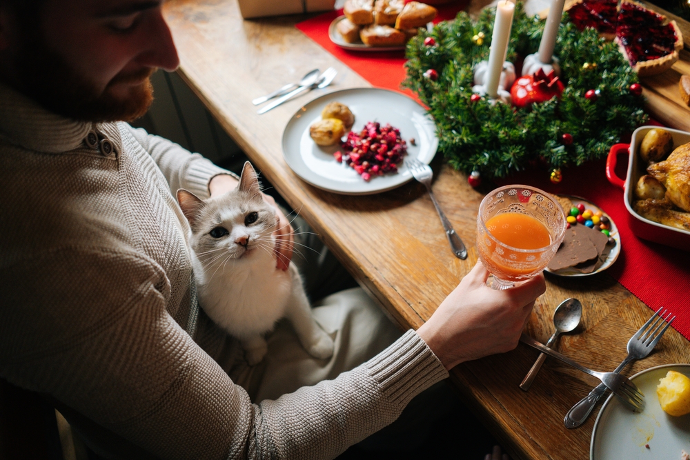 Holiday Pet Safety Tips