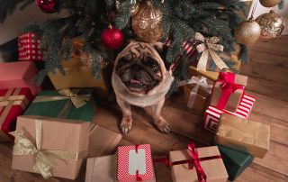 Pet-Safe Holiday Gifts