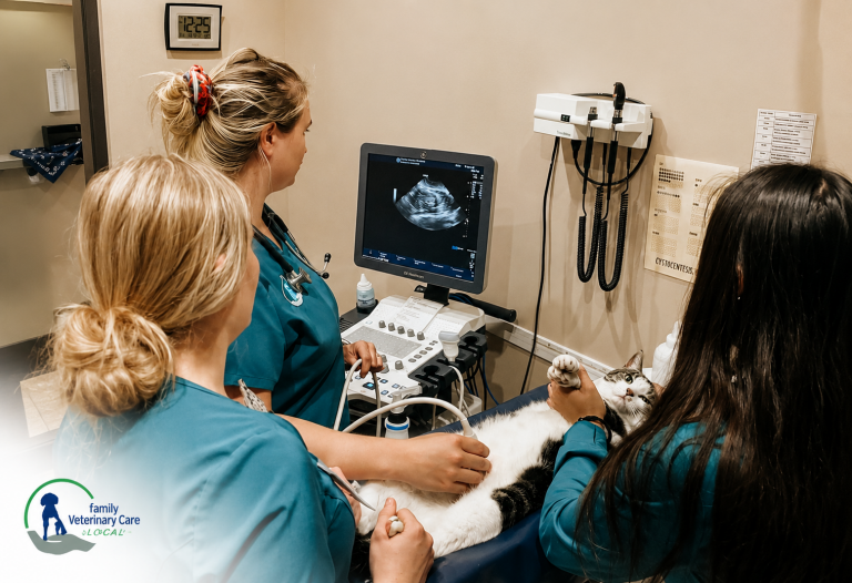 Diagnostic Imaging